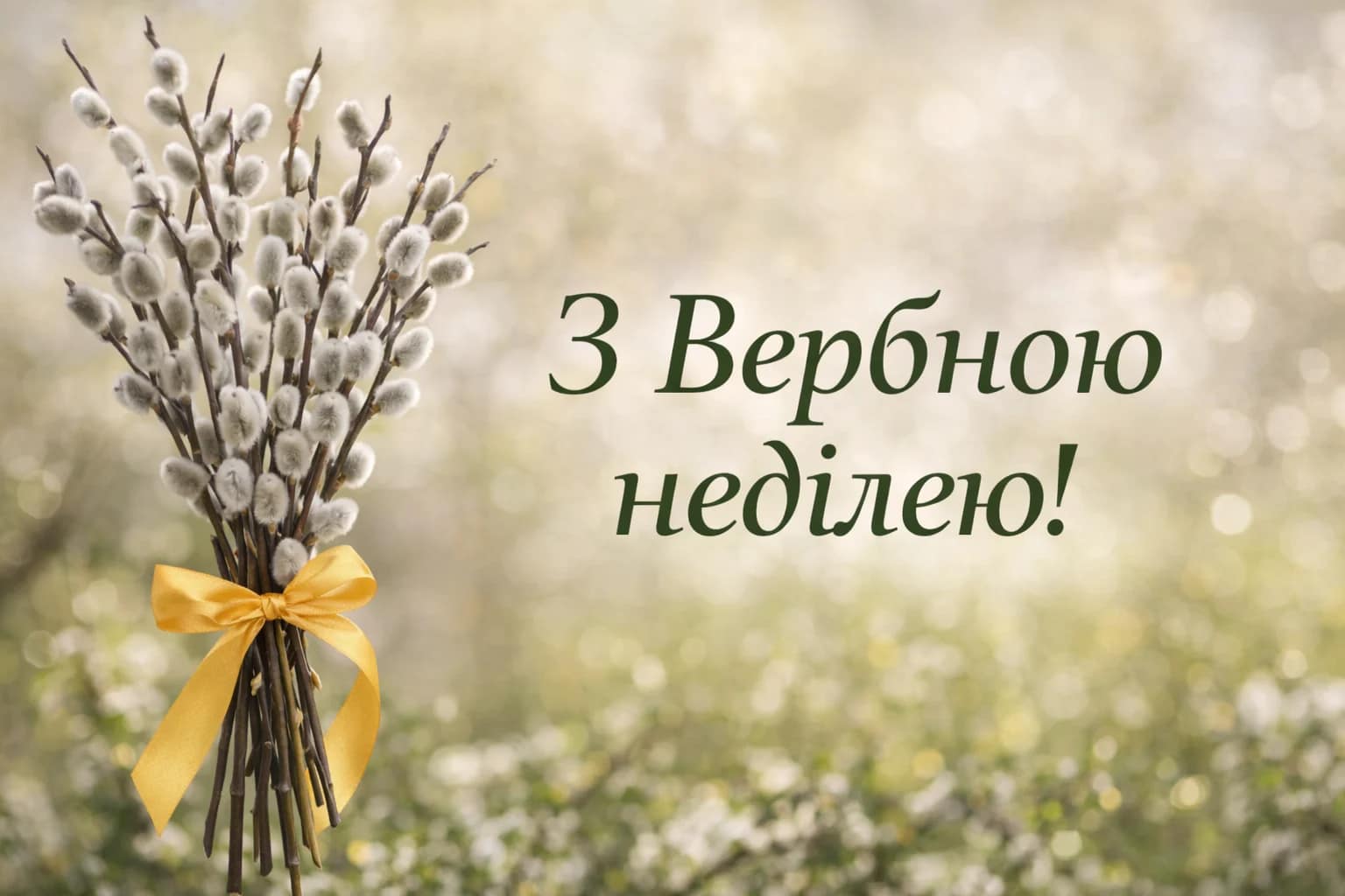 З Вербною неділею: найкращі щирі привітання - Ukraine Daily